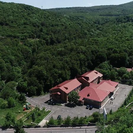 Tsaghkahovit Hotel Tsaghkadzor Εξωτερικό φωτογραφία
