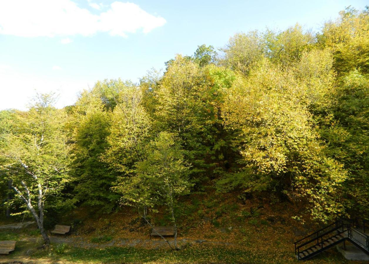 Tsaghkahovit Hotel Tsaghkadzor Εξωτερικό φωτογραφία
