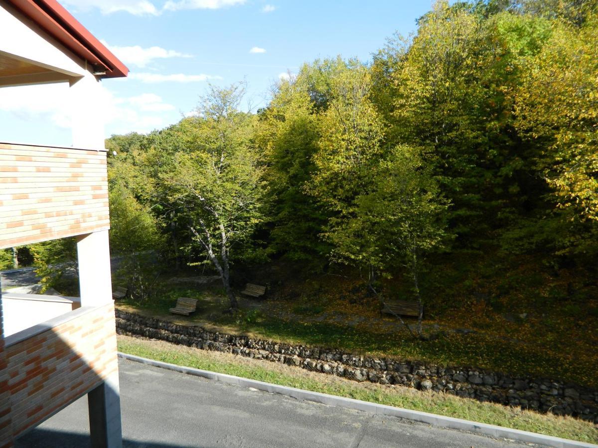 Tsaghkahovit Hotel Tsaghkadzor Εξωτερικό φωτογραφία
